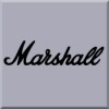 Marshall Combo Flightcases